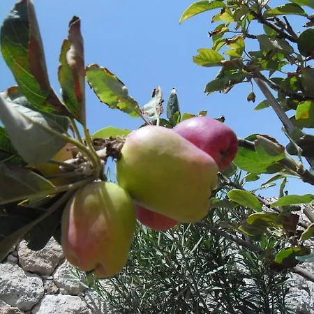 Julia Comfortable * Costa Calma